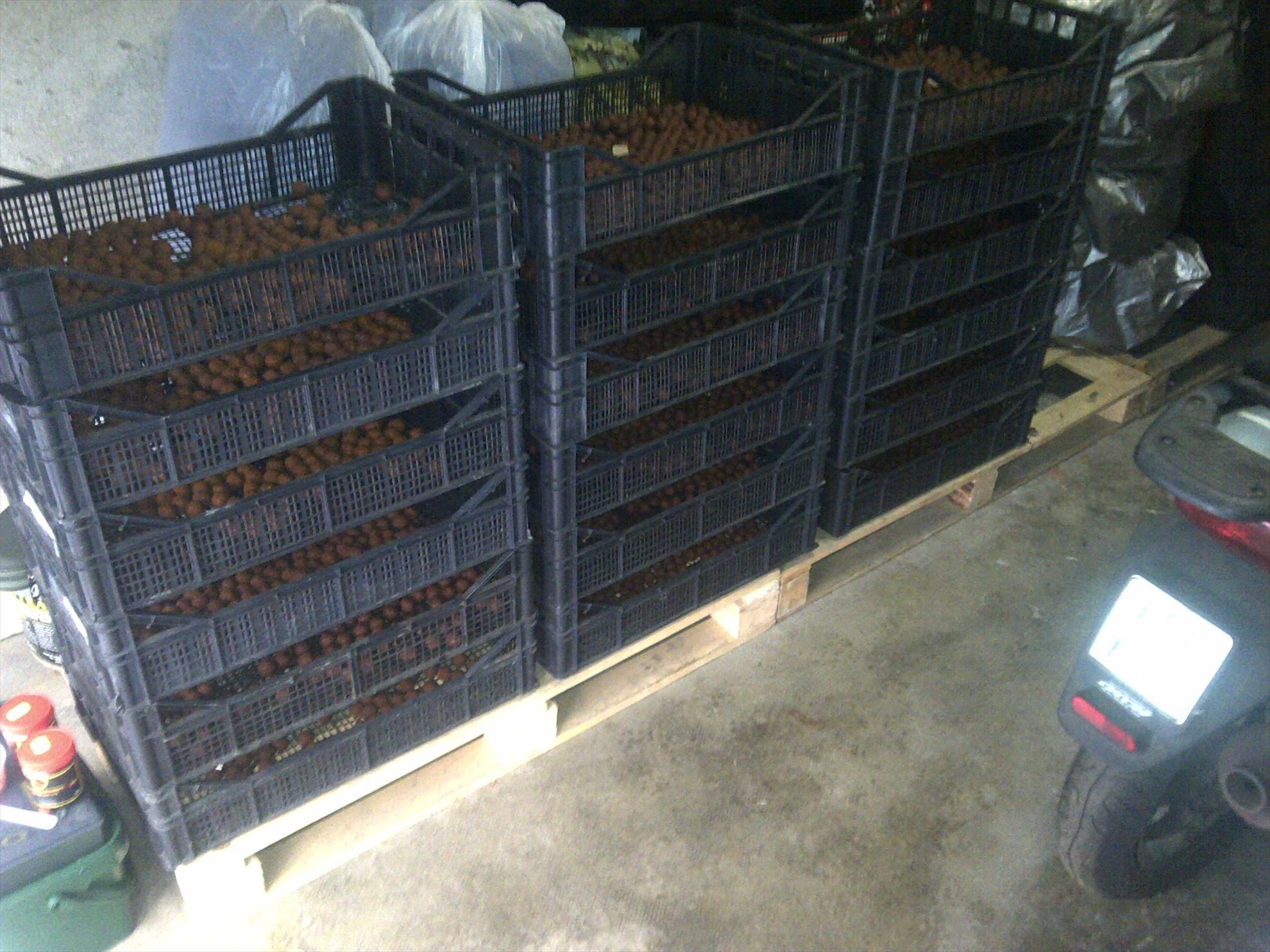 diverse - san20maurizio20canavese-20130306-00248.jpg